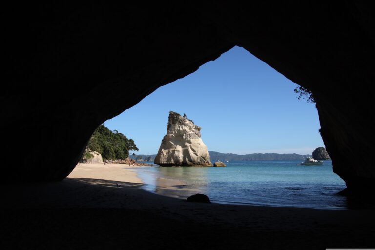 Behind the Dairy, Not in Front of the View: A Coromandel Campervan Night