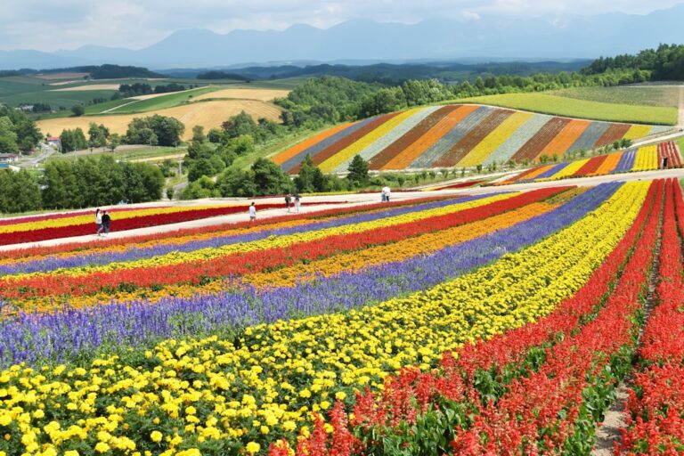 Best Campervan Routes in Hokkaido Japan