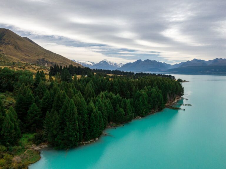 Capturing the Beauty of Lake Pukaki: A Photographer’s Guide