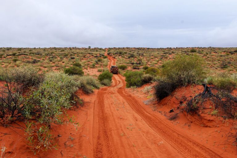 The Ultimate Self-Drive Exploration Guide Across Australia Countryside