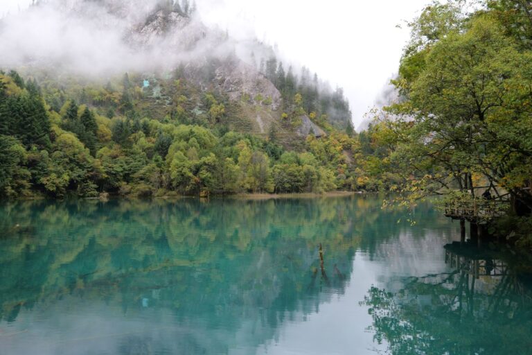 The most scenic historical routes to cruise with a family in Japan countryside