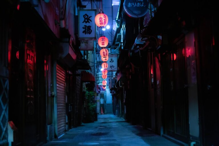 Introduction to Tokyo Neon Photography