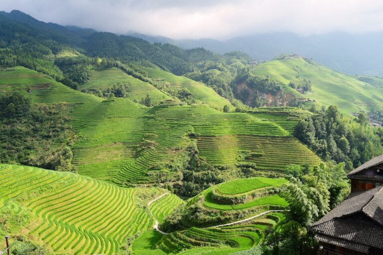 Sapa Rice Terrace Hiking Trail Difficulty