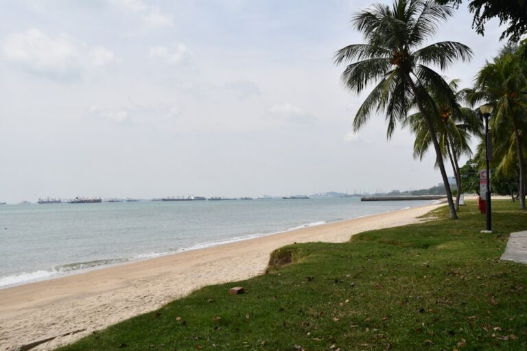Introduction to East Coast Park