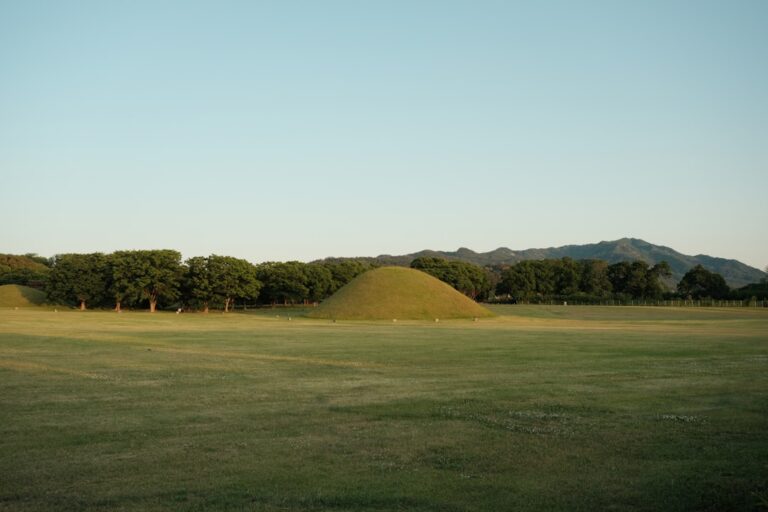 Gyeongju Historical Park: A Photographer’s Paradise