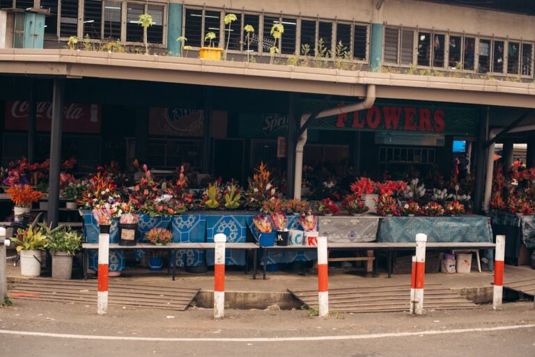 Capturing the Vibrant Soul of Suva: Municipal Market Produce Photography and Vendor Portraits