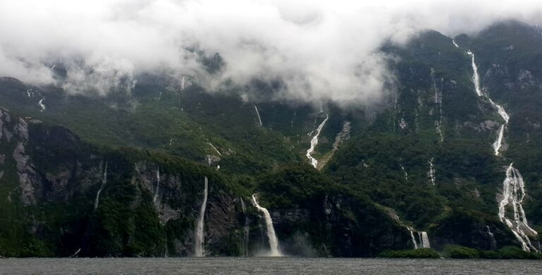 Milford Sound Overnight Cruise: Photography, Fjord Landscapes, and Wildlife