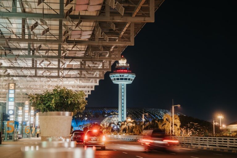 Why I Ended Up Watching a B-Movie at 3 AM in Changi Airport (and Why You Should Too)