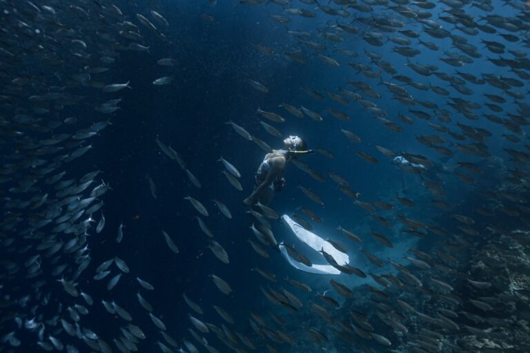 Underwater Portraits in Moalboal: How to Shoot Sardine Runs Without a Professional Rig