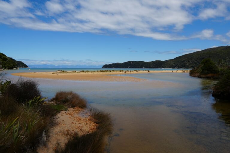Parking the Campervan at a Remote South Island Beach to Watch the Southern Lights Without Another Soul in Sight