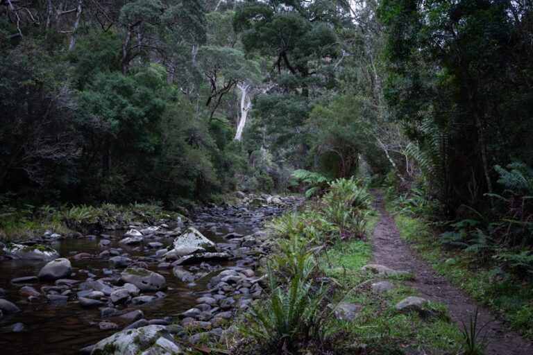 Bush-bashing off the Routeburn Track to Find a Hidden Waterfall the DOC No Longer Maintains