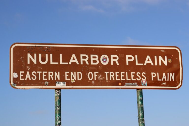 Sleeping Under the Nullarbor’s Stars: Finding the Perfect Campervan Spot Off the Eyre Highway