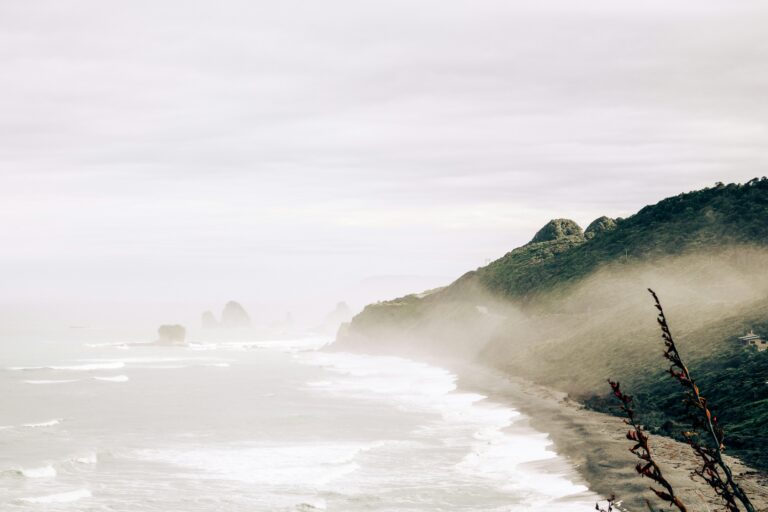 The Dinner That Tasted Like the West Coast Rain